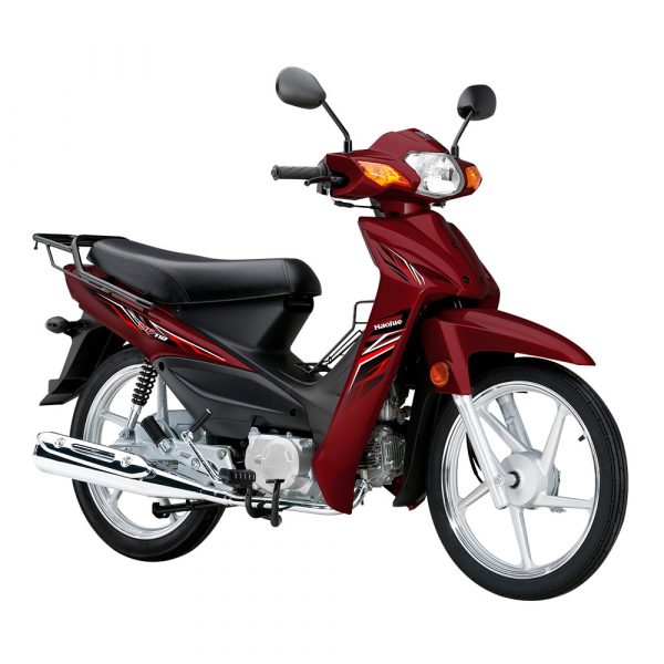 Motocicleta haujue ud110 6 2
